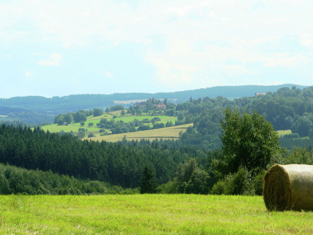 Ferienhaus Lesná u Tachova Umgebung 25