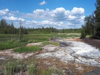 Holiday house Hradecká Environment 37