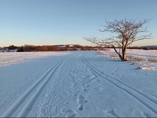 Casa de vacaciones Hradecká Entorno 37