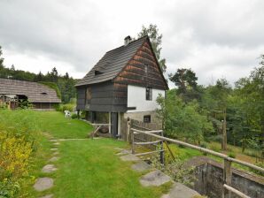 Vakantiehuis Charmant torenhuis in Erstgebergte - Nieuwe Hamry - image1