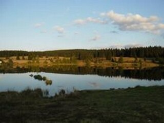 Holiday house Nové Hamry Environment 15