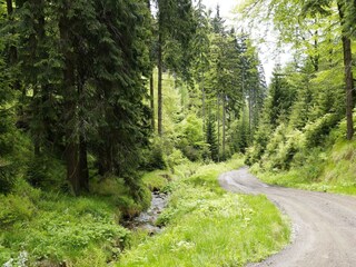 Vakantiehuis Pernink Omgeving 17