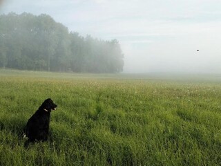 Villa Bechyně Environment 33