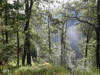 Villa Bechyn&#283; Omgeving 25