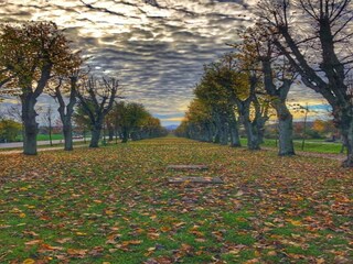 Casa de vacaciones Parezska Lhota Entorno 27