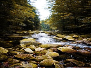 Holiday house Parezska Lhota Environment 12