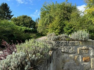 Maison de vacances Parezska Lhota Environnement 20