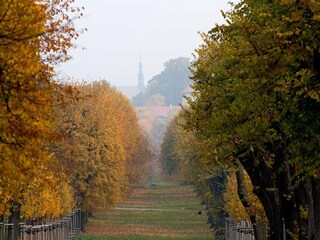 Vakantiehuis Parezska Lhota Omgeving 17