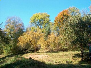 Apartment Stupna Environment 21