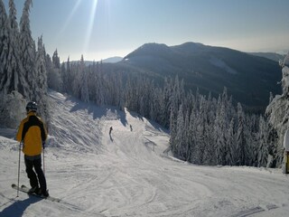 Apartamento Rokytnice nad Jizerou  40