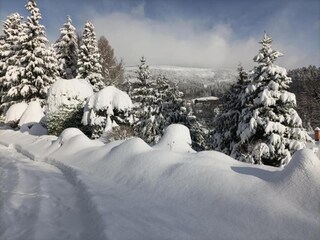 Apartment Rokytnice nad Jizerou Environment 37