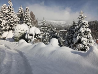 Appartement Rokytnice nad Jizerou Omgeving 37