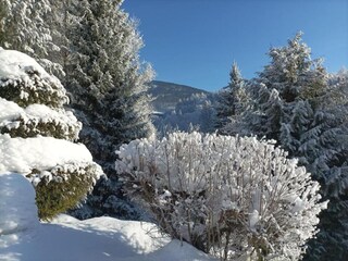 Appartamento Rokytnice nad Jizerou Ambiente 26