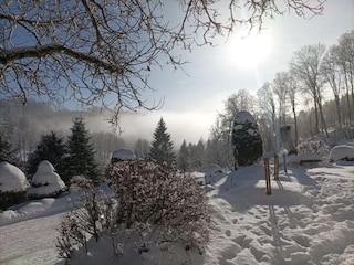 Appartement Rokytnice nad Jizerou Omgeving 19