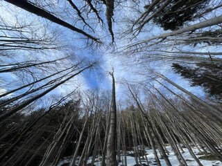 Appartement Rokytnice nad Jizerou Omgeving 39