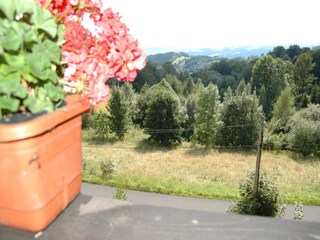 Holiday house Vitkovice Outdoor Recording 5