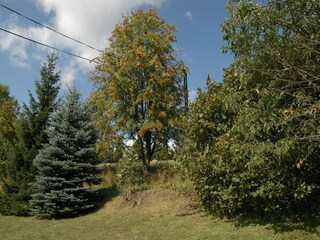 Vakantiehuis Vitkovice Buitenaudio-opname 8