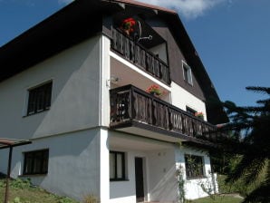 Holiday house Spacious cottage in the Giant Mountains, 1 km from the skislopes - Vitkovice - image1