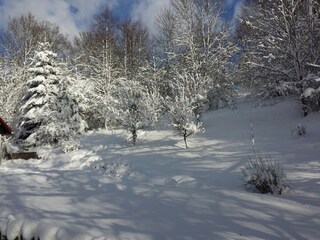 Ferienhaus Rudnik Außenaufnahme 3