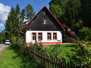 Ferienhaus Rudník nahe Skilift - Rudnik - image1