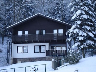 Bungalow Horni Brusnice Außenaufnahme 3