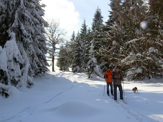 Maison de vacances Bozanov Environnement 33