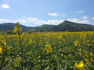 Ferienhaus Bozanov Außenaufnahme 13