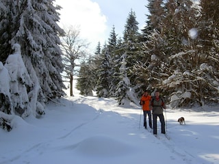 Ferienhaus Bozanov Umgebung 35