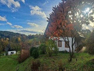 Villa Stupna Außenaufnahme 6
