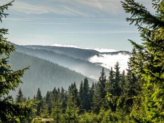 Ferienhaus Bruntál Umgebung 38