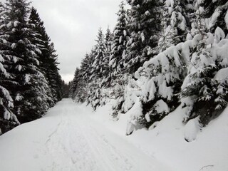 Ferienhaus Bruntál Umgebung 27