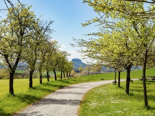 Vakantiehuis Mittelndorf Omgeving 30