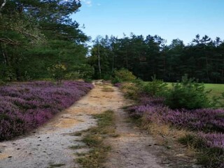 Vakantiehuis Mittelndorf Omgeving 26