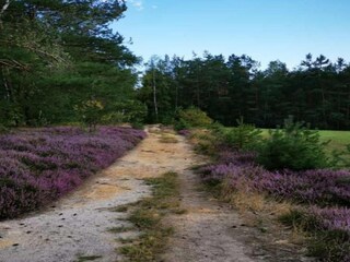 Apartment Lichtenhain Environment 34