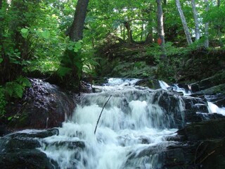 Vakantiehuis Neudorf (Harz) Omgeving 16