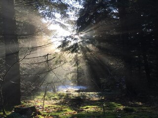 Vakantiehuis Neudorf (Harz) Omgeving 19