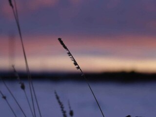 Casa per le vacanze Neudorf (Harz) Ambiente 34