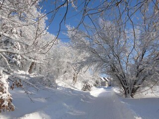 Ferienhaus Neudorf (Harz) Umgebung 24