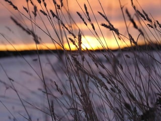 Ferienhaus Neudorf (Harz) Umgebung 35