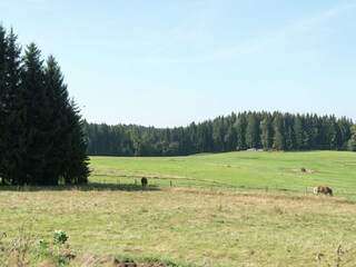 Holiday house Auerbach im Vogtland Outdoor Recording 10