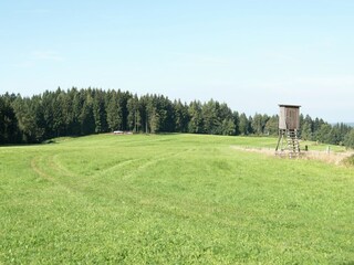 Holiday house Auerbach im Vogtland Environment 23