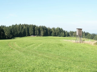 Maison de vacances Auerbach im Vogtland Environnement 24