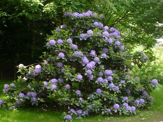 Maison de vacances Bergen im Vogtland  31