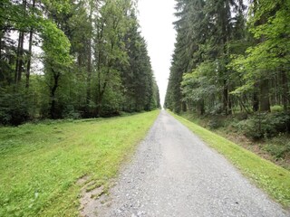 Casa per le vacanze Bergen im Vogtland Ambiente 26