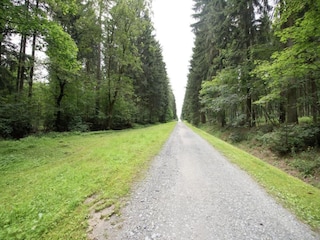 Ferienhaus Bergen im Vogtland Umgebung 26