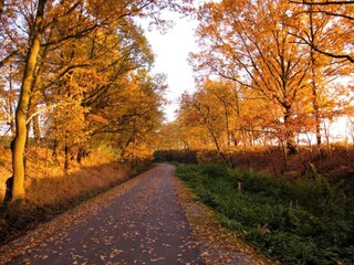 Maison de vacances Bergen im Vogtland Environnement 18