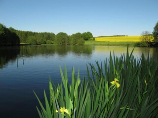 Vakantiehuis Bergen im Vogtland Omgeving 24
