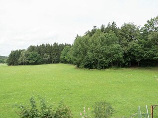 Holiday house Bergen im Vogtland Environment 30