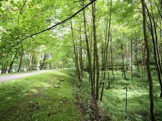 Holiday house Bergen im Vogtland Environment 27