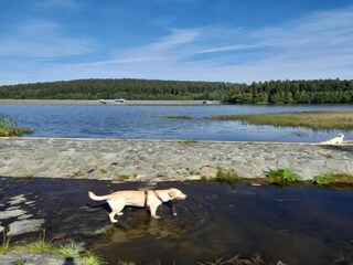 Ferienhaus Bergen im Vogtland Umgebung 19